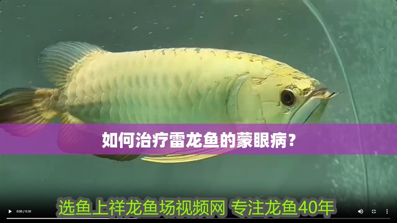 如何治療雷龍魚的蒙眼病？