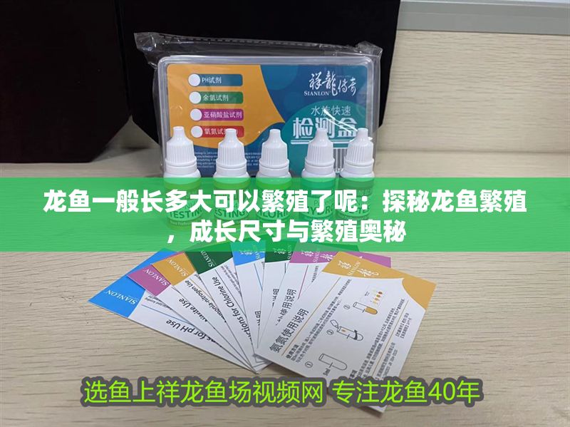 龍魚一般長多大可以繁殖了呢：探秘龍魚繁殖，成長尺寸與繁殖奧秘