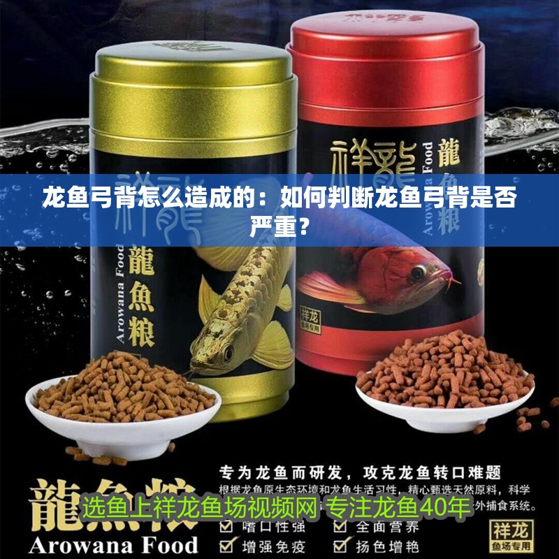 龍魚弓背怎么造成的：如何判斷龍魚弓背是否嚴重？