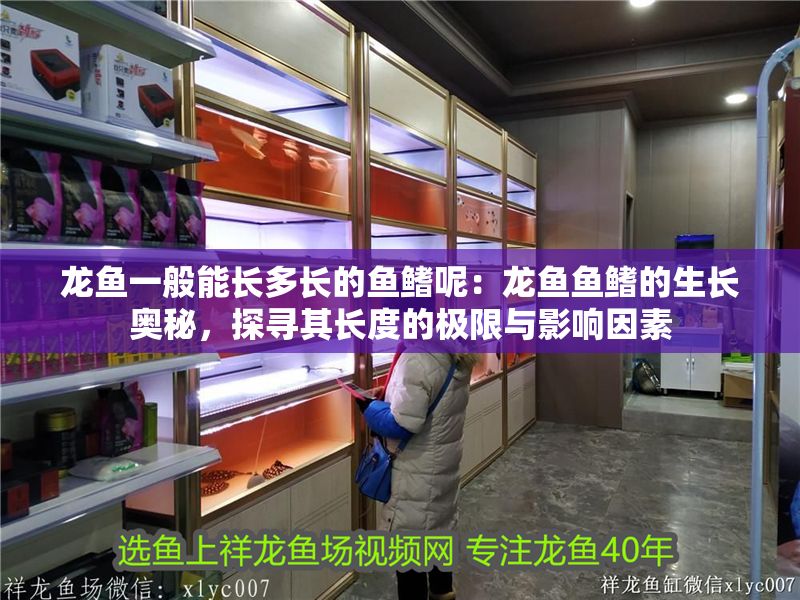 龍魚一般能長多長的魚鰭呢：龍魚魚鰭的生長奧秘，探尋其長度的極限與影響因素