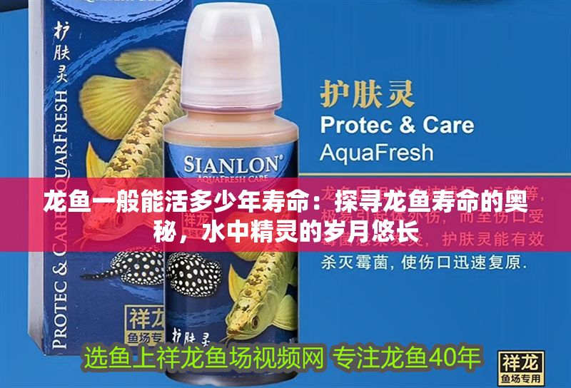 龍魚一般能活多少年壽命：探尋龍魚壽命的奧秘，水中精靈的歲月悠長(zhǎng)