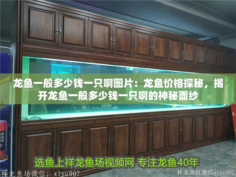 龍魚一般多少錢一只啊圖片：龍魚價格探秘，揭開龍魚一般多少錢一只啊的神秘面紗
