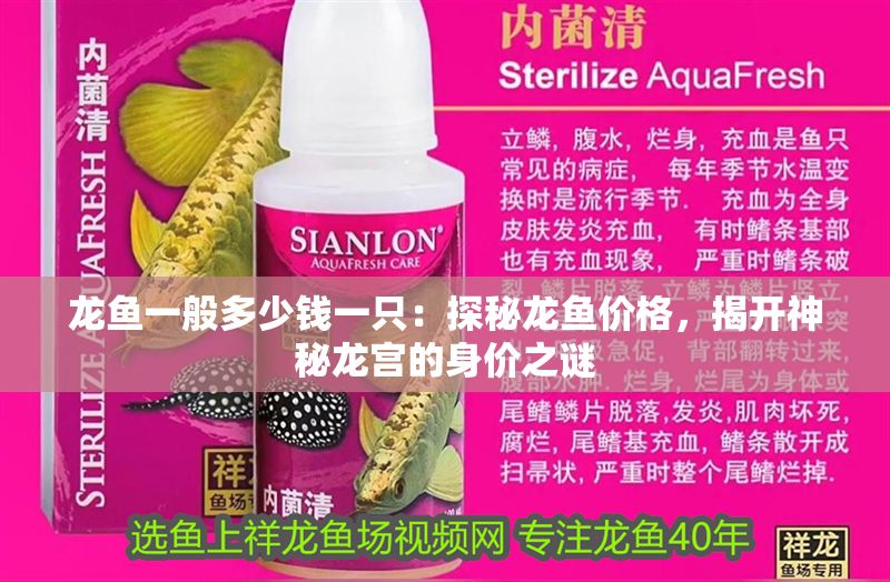 龍魚一般多少錢一只：探秘龍魚價(jià)格，揭開神秘龍宮的身價(jià)之謎