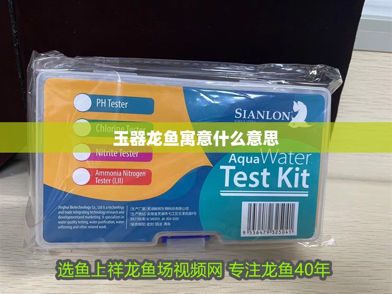 玉器龍魚寓意什么意思