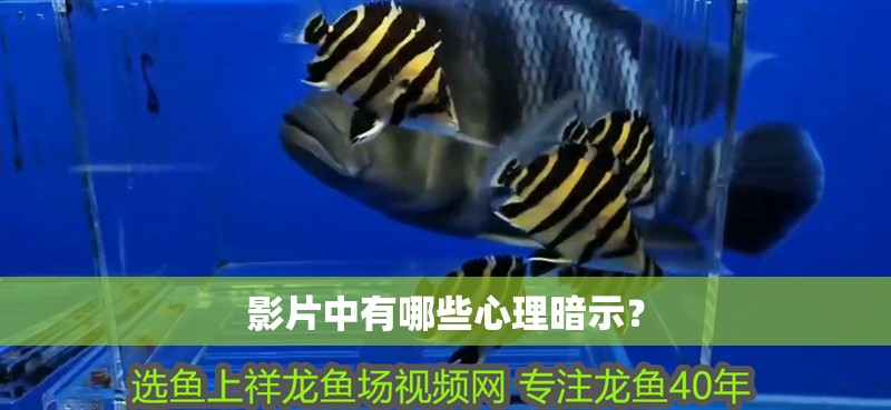 影片中有哪些心理暗示？