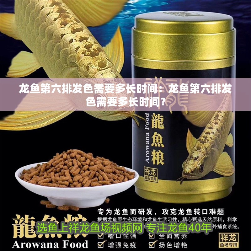 龍魚第六排發(fā)色需要多長時間：龍魚第六排發(fā)色需要多長時間？