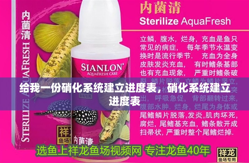 給我一份硝化系統(tǒng)建立進(jìn)度表，硝化系統(tǒng)建立進(jìn)度表 給我一份硝化系統(tǒng)建立進(jìn)度表，硝化系統(tǒng)建立進(jìn)度表 龍魚(yú)百科