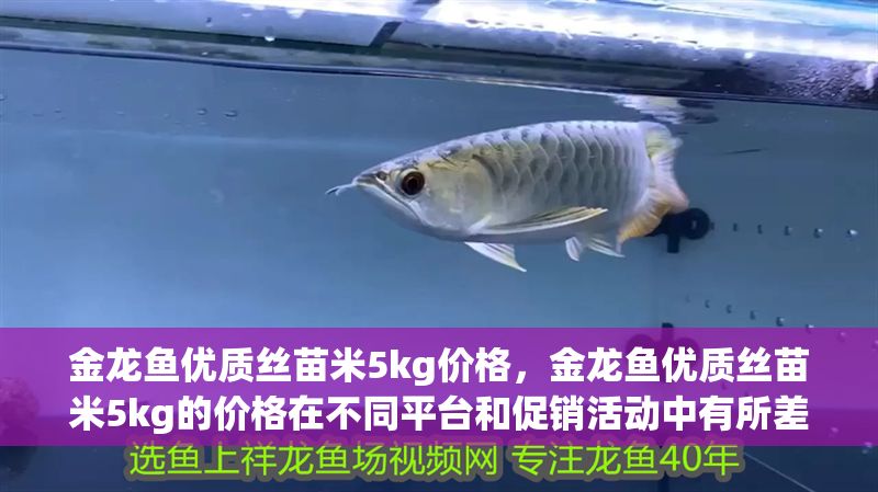 金龍魚優質絲苗米5kg價格，金龍魚優質絲苗米5kg的價格在不同平臺和促銷活動中有所差異