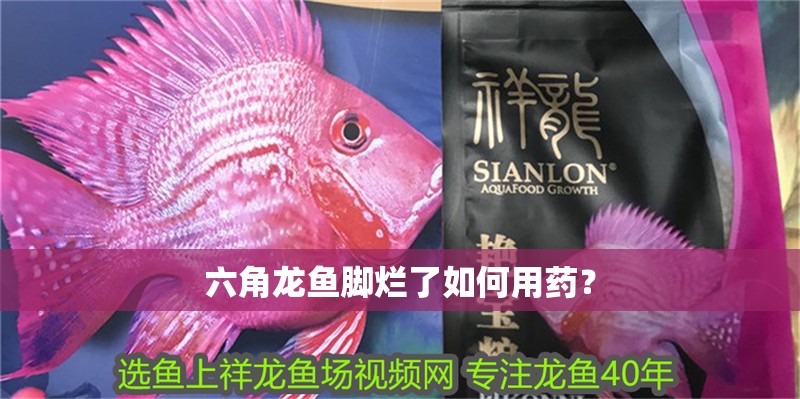 六角龍魚腳爛了如何用藥？