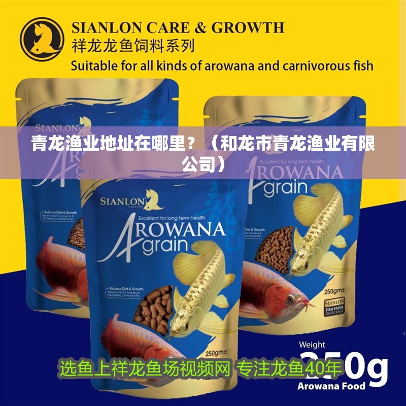 青龍漁業地址在哪里？（和龍市青龍漁業有限公司） 青龍漁業地址在哪里？（和龍市青龍漁業有限公司） 龍魚百科
