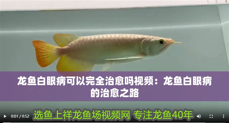龍魚身上有箭蟲的圖（“龍魚身上有箭蟲的圖”是關(guān)于龍魚身上有箭蟲的相關(guān)內(nèi)容以供參考）