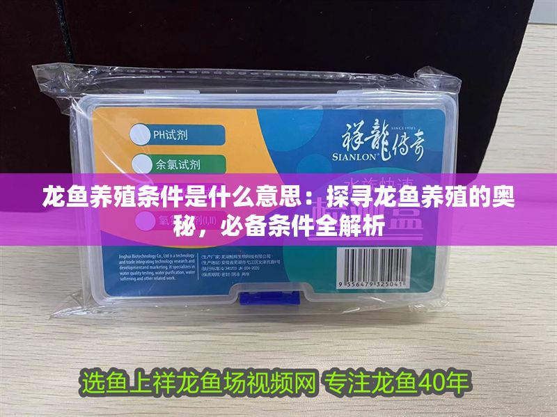龍魚養殖條件是什么意思：探尋龍魚養殖的奧秘，必備條件全解析