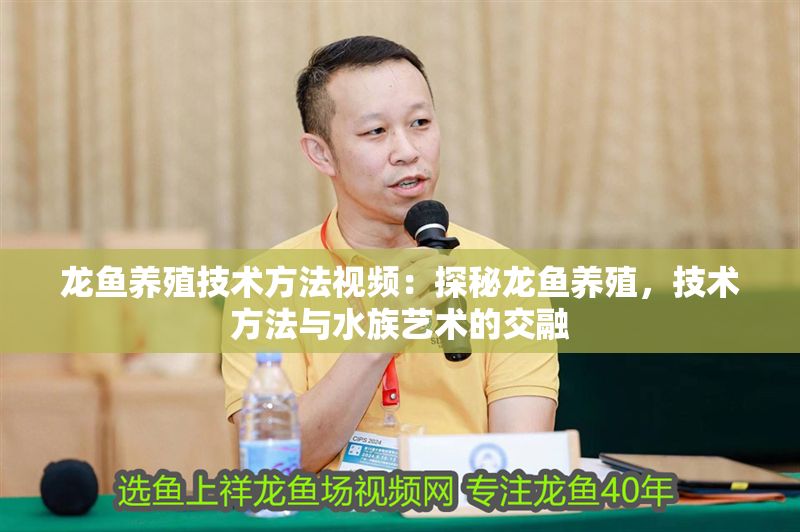 龍魚養殖技術方法視頻：探秘龍魚養殖，技術方法與水族藝術的交融
