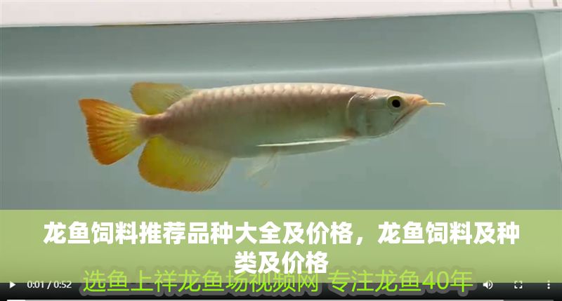 龍魚飼料推薦品種大全及價(jià)格，龍魚飼料及種類及價(jià)格 龍魚飼料推薦品種大全及價(jià)格，龍魚飼料及種類及價(jià)格 龍魚百科 第2張