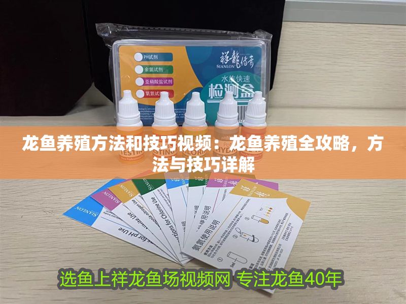 龍魚養殖方法和技巧視頻：龍魚養殖全攻略，方法與技巧詳解