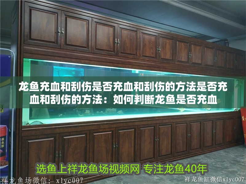 龍魚充血和刮傷是否充血和刮傷的方法是否充血和刮傷的方法：如何判斷龍魚是否充血