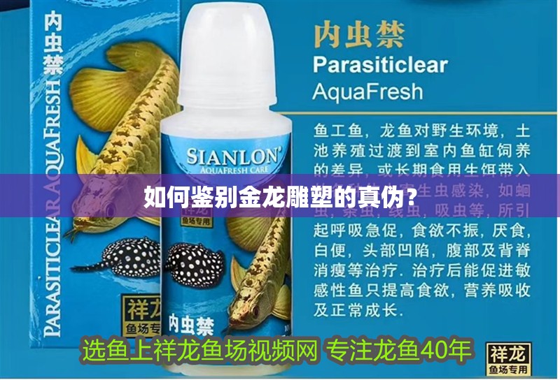 如何鑒別金龍雕塑的真偽？ 如何鑒別金龍雕塑的真偽？ 龍魚百科