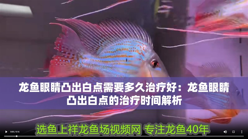 龍魚干蝦有營養嗎 龍魚眼睛凸出白點需要多久治療好:龍魚眼睛凸出白點的治療時間解析 水族問答 龍魚眼睛凸出白點需要多久治療好:龍魚眼睛凸出白點的治療時間解析 龍魚眼睛凸出白點需要多久治療好:龍魚眼睛凸出白點的治療時間解析 水族問答
