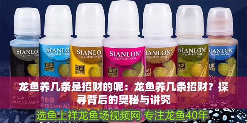 龍魚養(yǎng)幾條是招財?shù)哪兀糊堲~養(yǎng)幾條招財？探尋背后的奧秘與講究