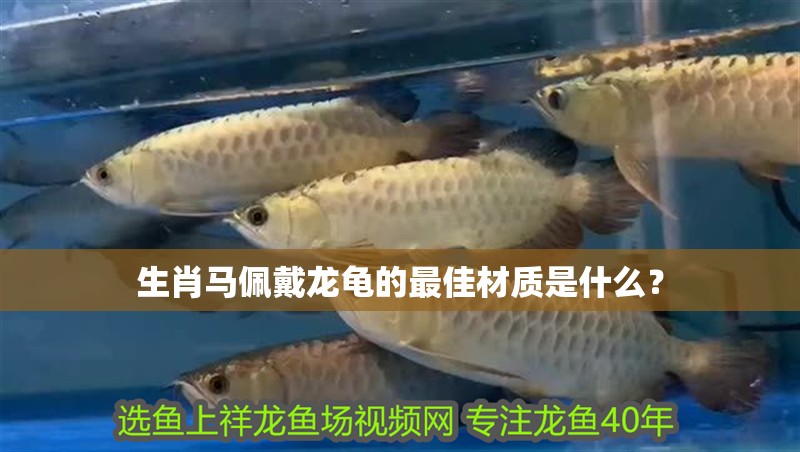 生肖馬佩戴龍龜的最佳材質是什么？