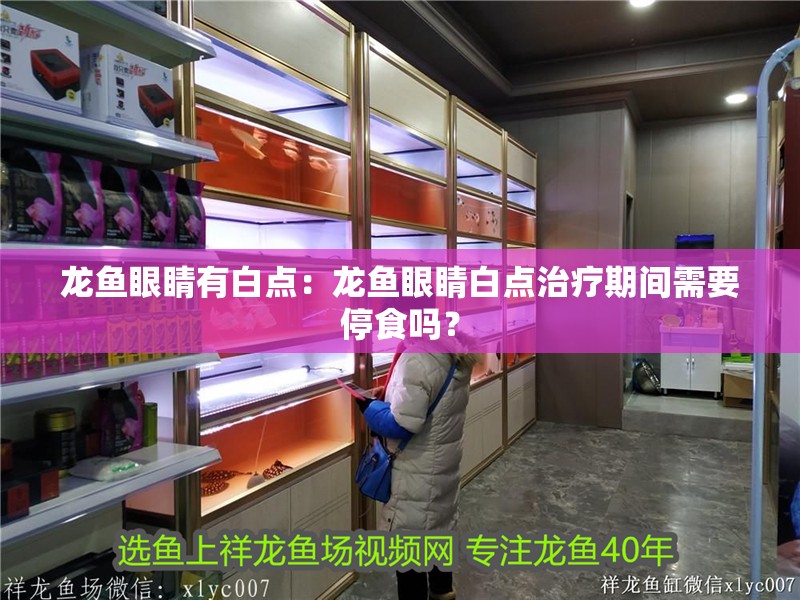 龍魚眼睛有白點(diǎn)：龍魚眼睛白點(diǎn)治療期間需要停食嗎？