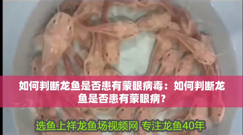 如何判斷龍魚是否患有蒙眼病毒：如何判斷龍魚是否患有蒙眼病？