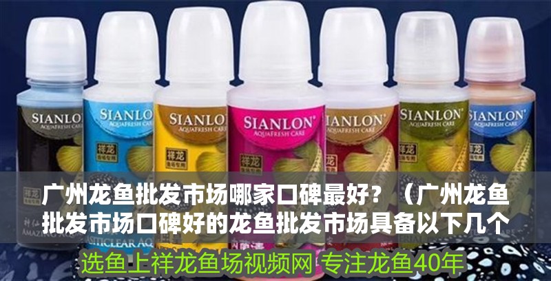 廣州龍魚批發市場哪家口碑最好？（廣州龍魚批發市場口碑好的龍魚批發市場具備以下幾個特點）