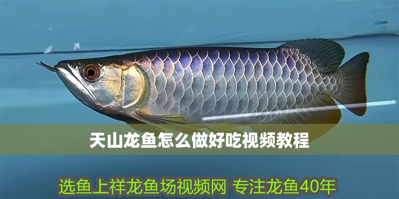 天山龍魚怎么做好吃視頻教程 天山龍魚怎么做好吃視頻教程 龍魚百科