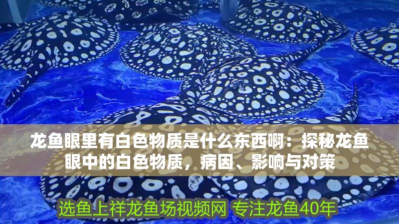 龍魚眼里有白色物質是什么東西啊：探秘龍魚眼中的白色物質，病因、影響與對策