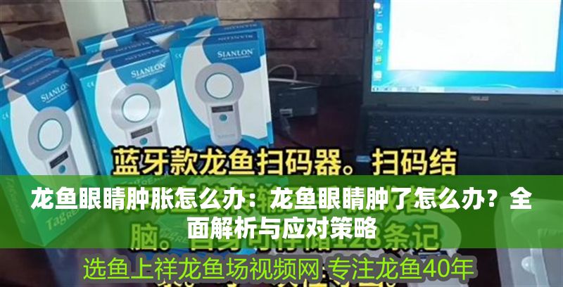 龍魚眼睛腫脹怎么辦：龍魚眼睛腫了怎么辦？全面解析與應對策略