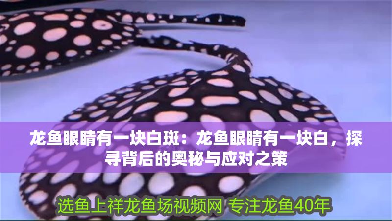龍魚眼睛有一塊白斑：龍魚眼睛有一塊白，探尋背后的奧秘與應(yīng)對(duì)之策