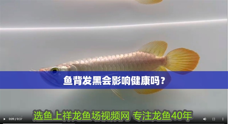 魚背發黑會影響健康嗎？