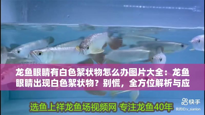 龍魚眼睛有白色絮狀物怎么辦圖片大全：龍魚眼睛出現白色絮狀物？別慌，全方位解析與應對指南