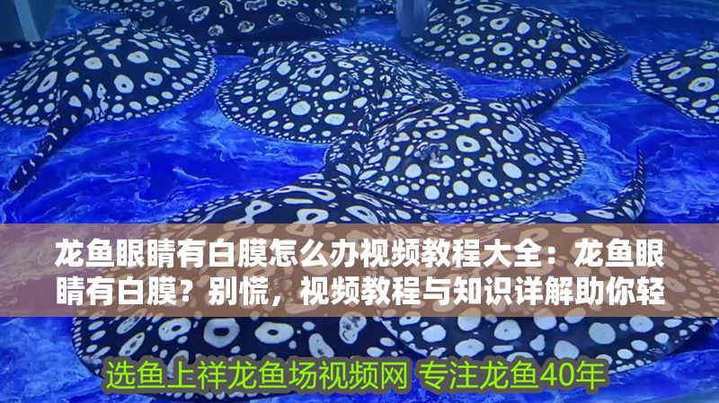 龍魚眼睛有白膜怎么辦視頻教程大全：龍魚眼睛有白膜？別慌，視頻教程與知識詳解助你輕松應對！