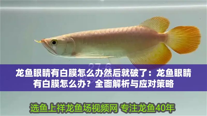 龍魚眼睛有白膜怎么辦然后就破了：龍魚眼睛有白膜怎么辦？全面解析與應對策略