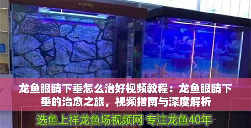 龍魚眼睛下垂怎么治好視頻教程：龍魚眼睛下垂的治愈之旅，視頻指南與深度解析