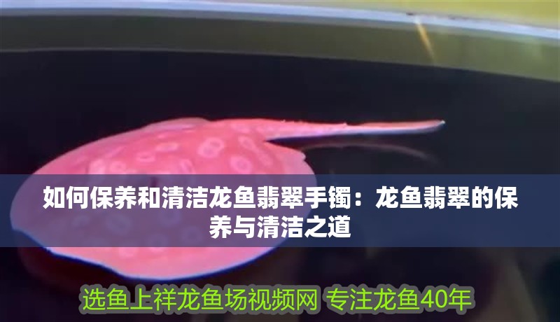 紅龍魚常見疾病預防