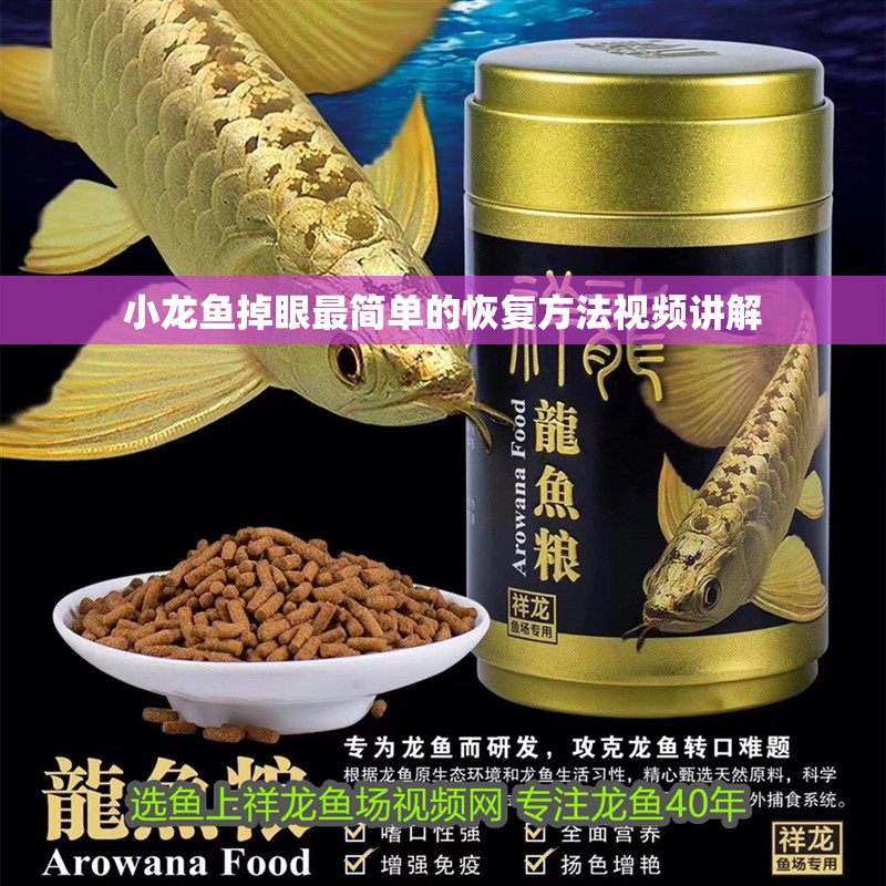 小龍魚掉眼最簡單的恢復(fù)方法視頻講解