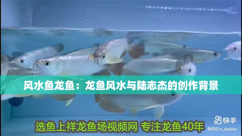 風水魚龍魚：龍魚風水與陸志杰的創作背景