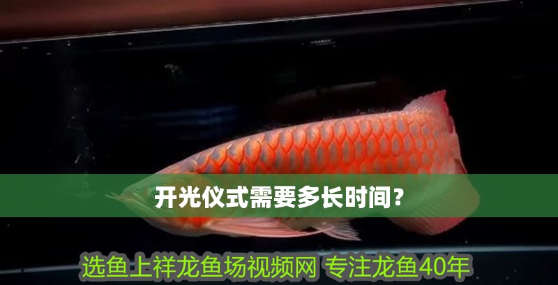 開光儀式需要多長時間？