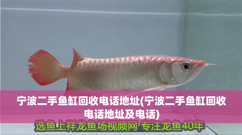 寧波二手魚缸回收電話地址(寧波二手魚缸回收電話地址及電話)