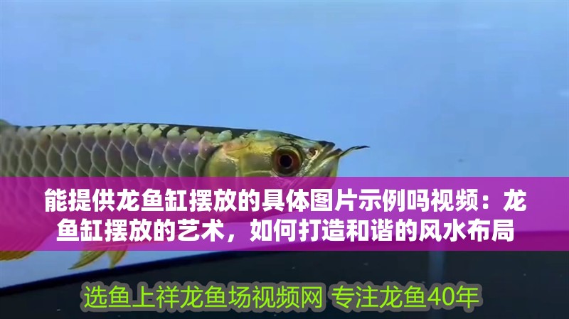 能提供龍魚缸擺放的具體圖片示例嗎視頻：龍魚缸擺放的藝術，如何打造和諧的風水布局