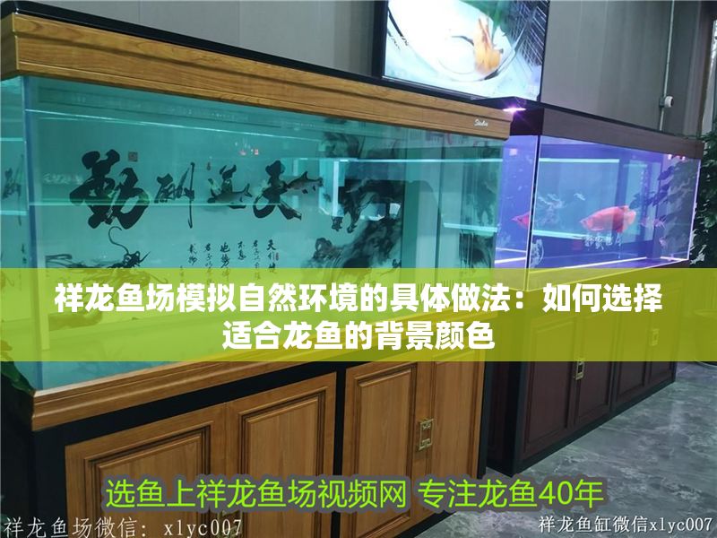 祥龍魚場模擬自然環境的具體做法：如何選擇適合龍魚的背景顏色