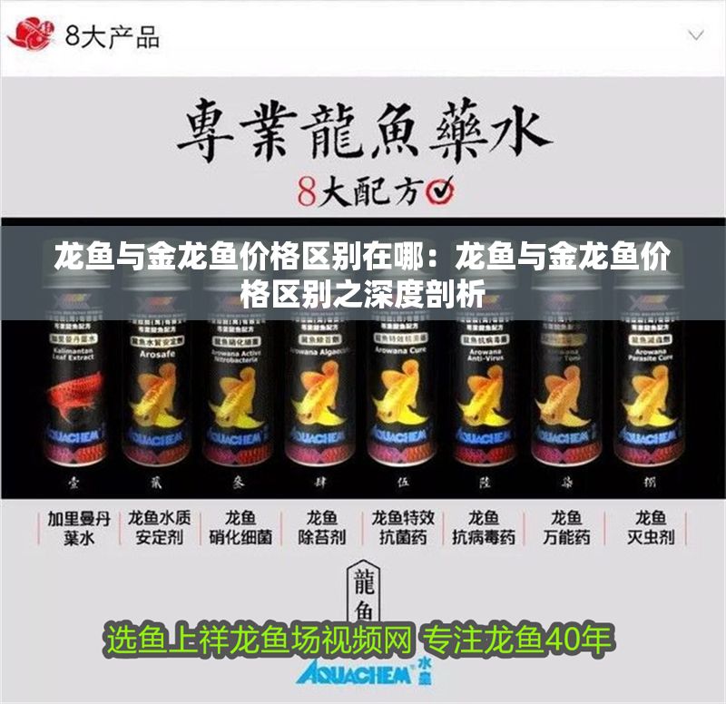 龍魚與金龍魚價格區別在哪：龍魚與金龍魚價格區別之深度剖析