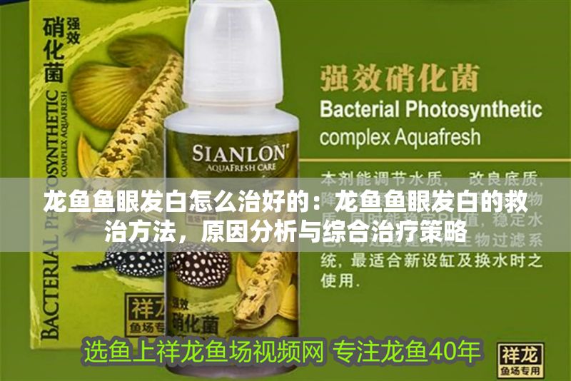 龍魚魚眼發白怎么治好的：龍魚魚眼發白的救治方法，原因分析與綜合治療策略