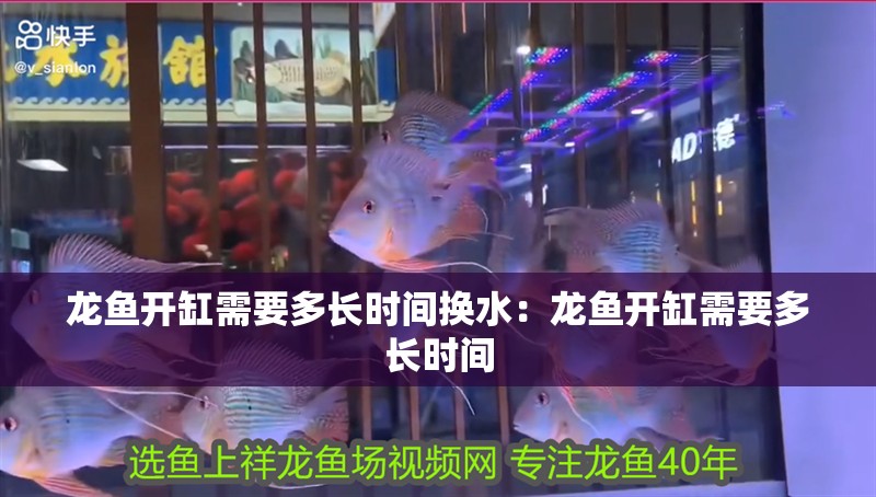 龍魚開缸需要多長時間換水：龍魚開缸需要多長時間