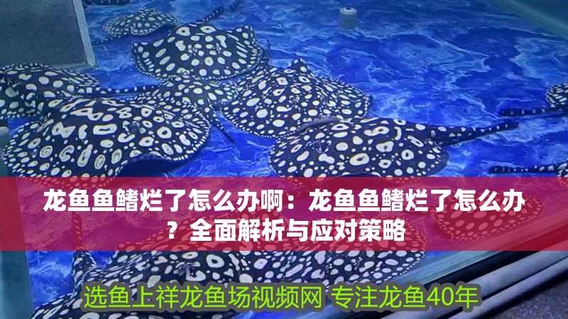 龍魚魚鰭爛了怎么辦啊：龍魚魚鰭爛了怎么辦？全面解析與應對策略