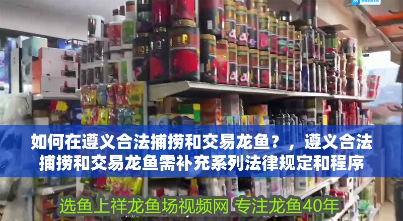 我的虎魚真菌感染了要怎么處理 如何在遵義合法捕撈和交易龍魚?,遵義合法捕撈和交易龍魚需補充系列法律規(guī)定和程序 龍魚百科 如何在遵義合法捕撈和交易龍魚?,遵義合法捕撈和交易龍魚需補充系列法律規(guī)定和程序 如何在遵義合法捕撈和交易龍魚?,遵義合法捕撈和交易龍魚需補充系列法律規(guī)定和程序 龍魚百科