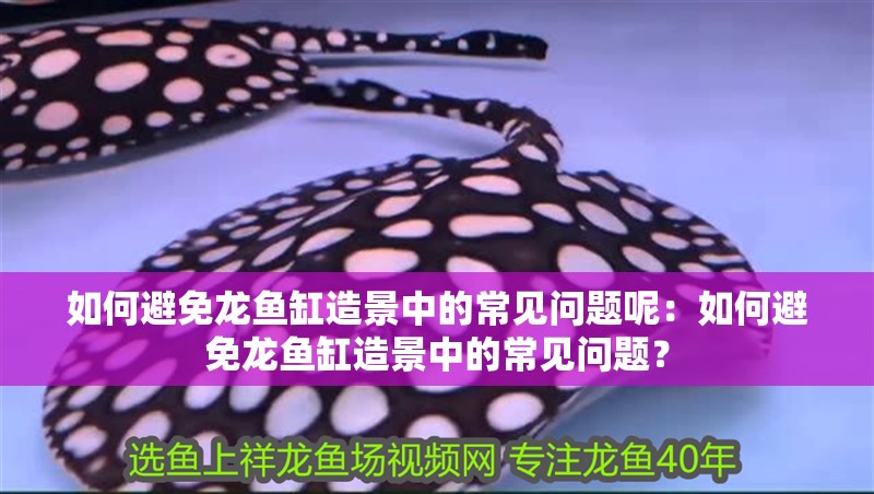 如何避免龍魚缸造景中的常見問題呢：如何避免龍魚缸造景中的常見問題？
