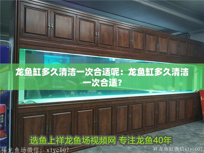 龍魚(yú)缸多久清潔一次合適呢：龍魚(yú)缸多久清潔一次合適？